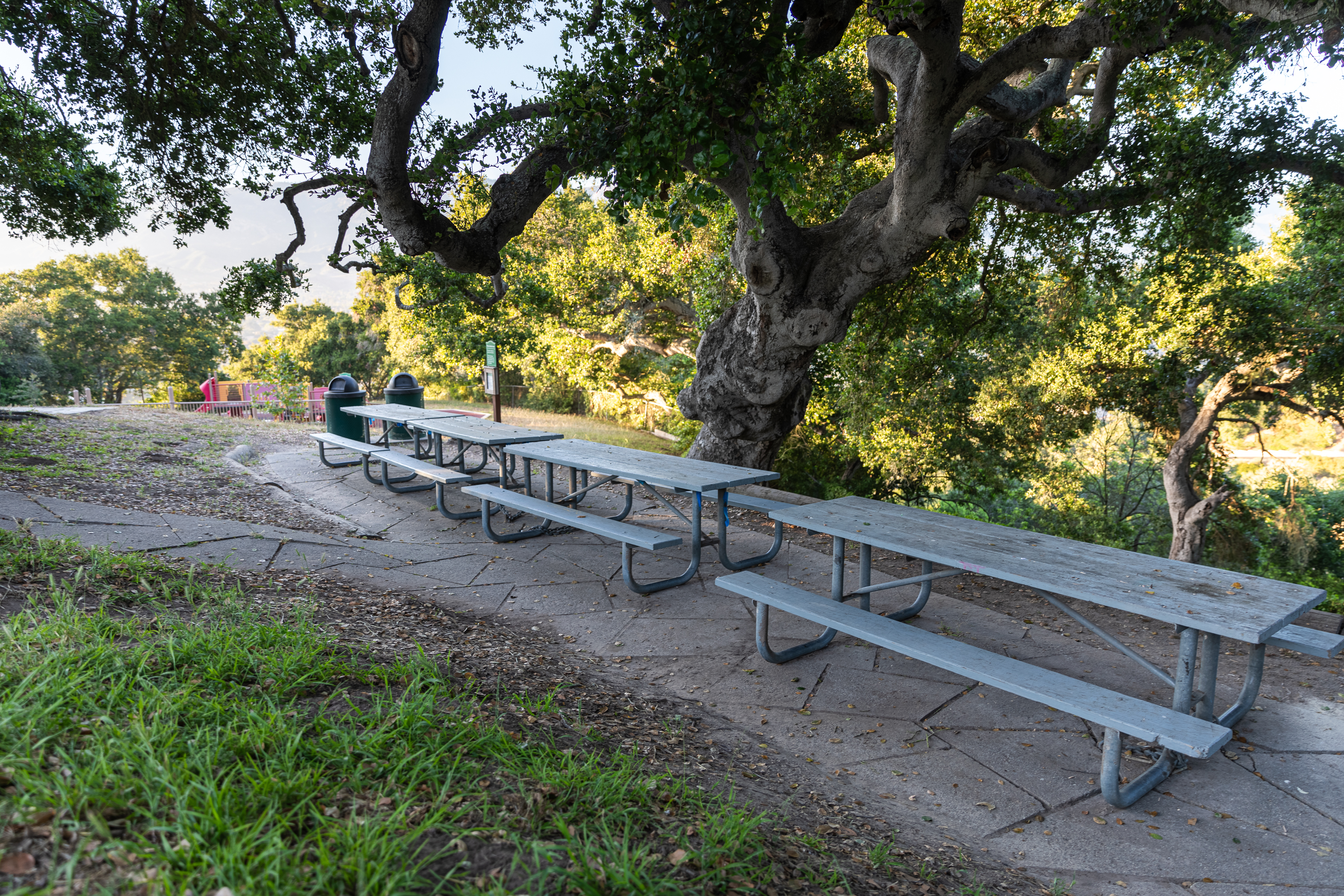 Hilda McIntyre Ray Main Picnic Area | Parks and Recreation